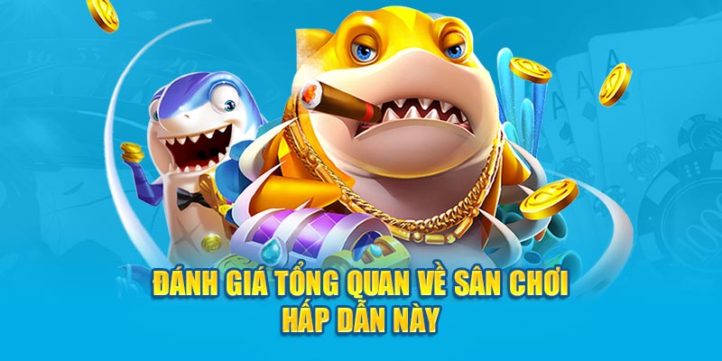 Đánh giá tổng quan về sân chơi hấp dẫn này